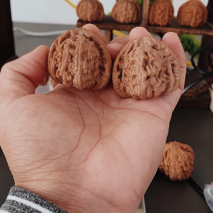 41尺角白红皮果骨质嘎嘎棒