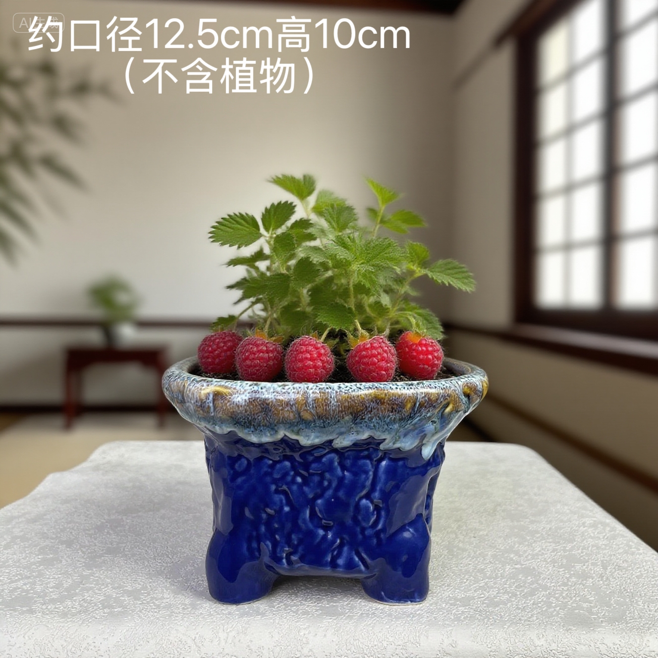 创意透气粗陶盆带脚多肉花盆复古田园风适合阳台客厅绿植盆