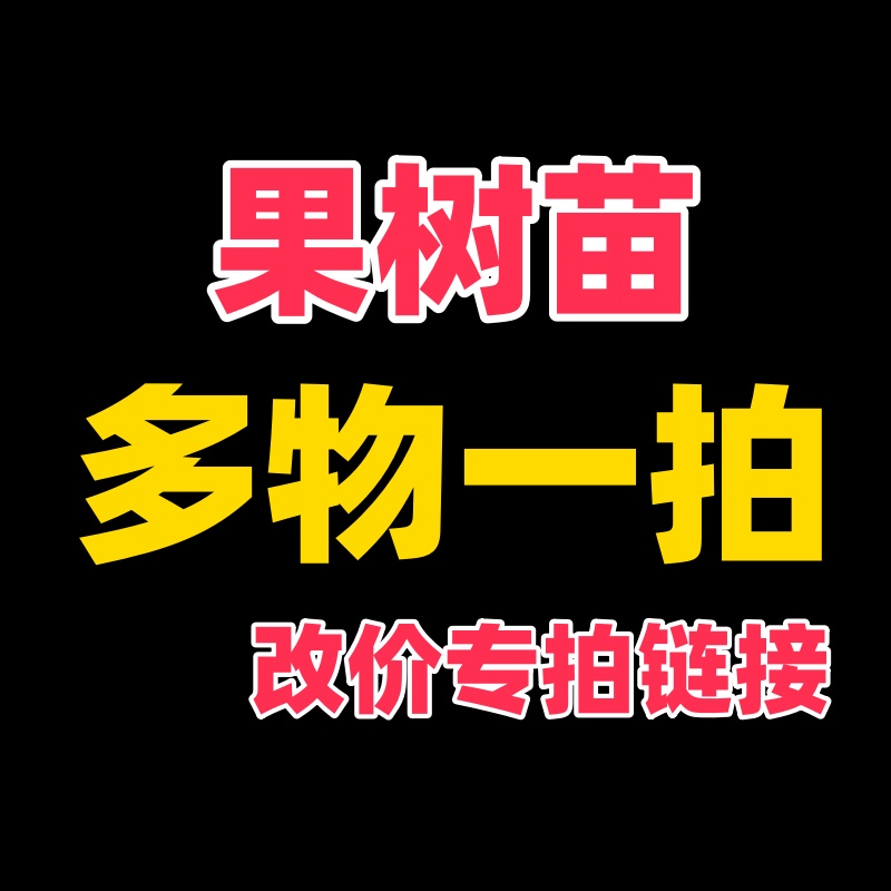 多物一拍 改价专拍链接 果树苗