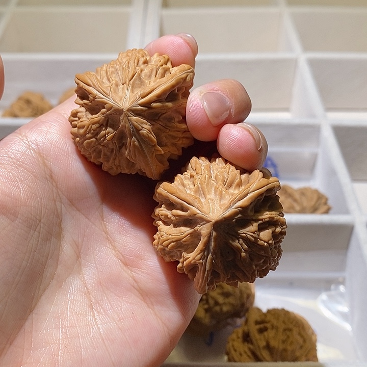 文玩核桃吊坠旭*38尺寸文山三棱 580米