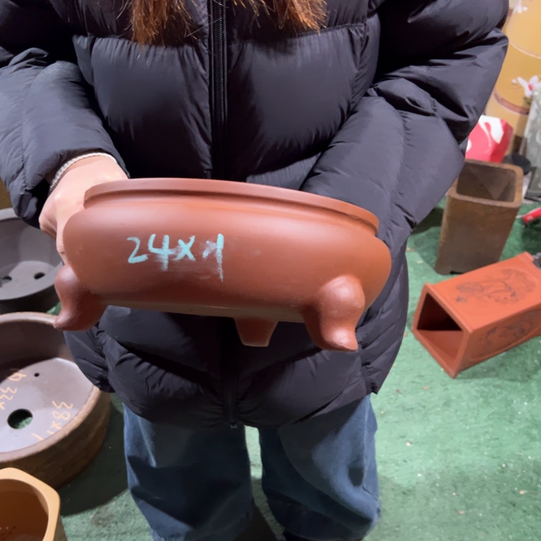 紫砂花盆紫砂花盆