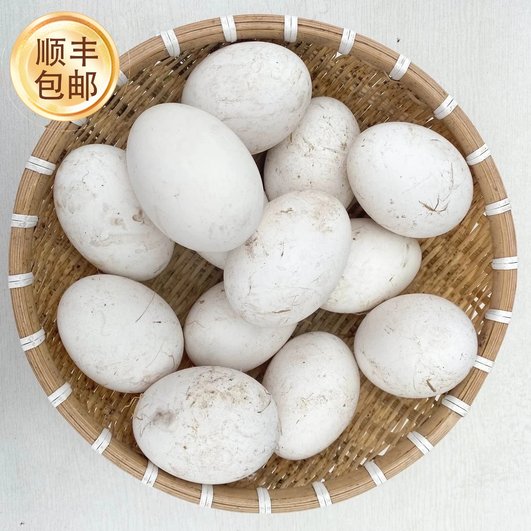 【顺丰包邮】四川广安农家散养土鹅蛋新鲜现捡现发