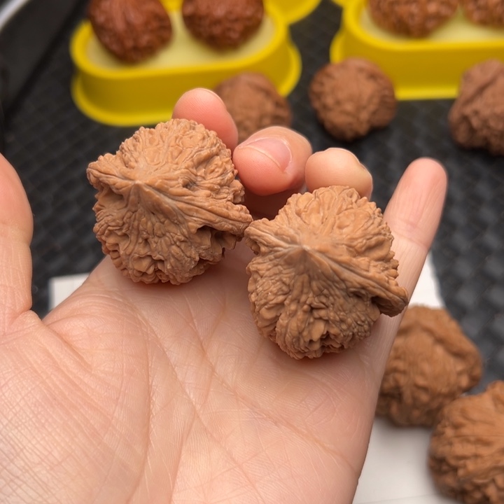 粪***豆核桃39尺寸大沽石