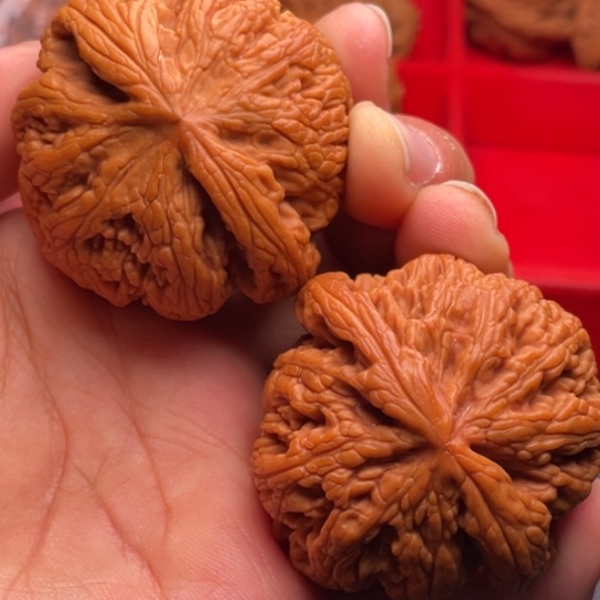 文玩核桃把件秦岭山脉核桃