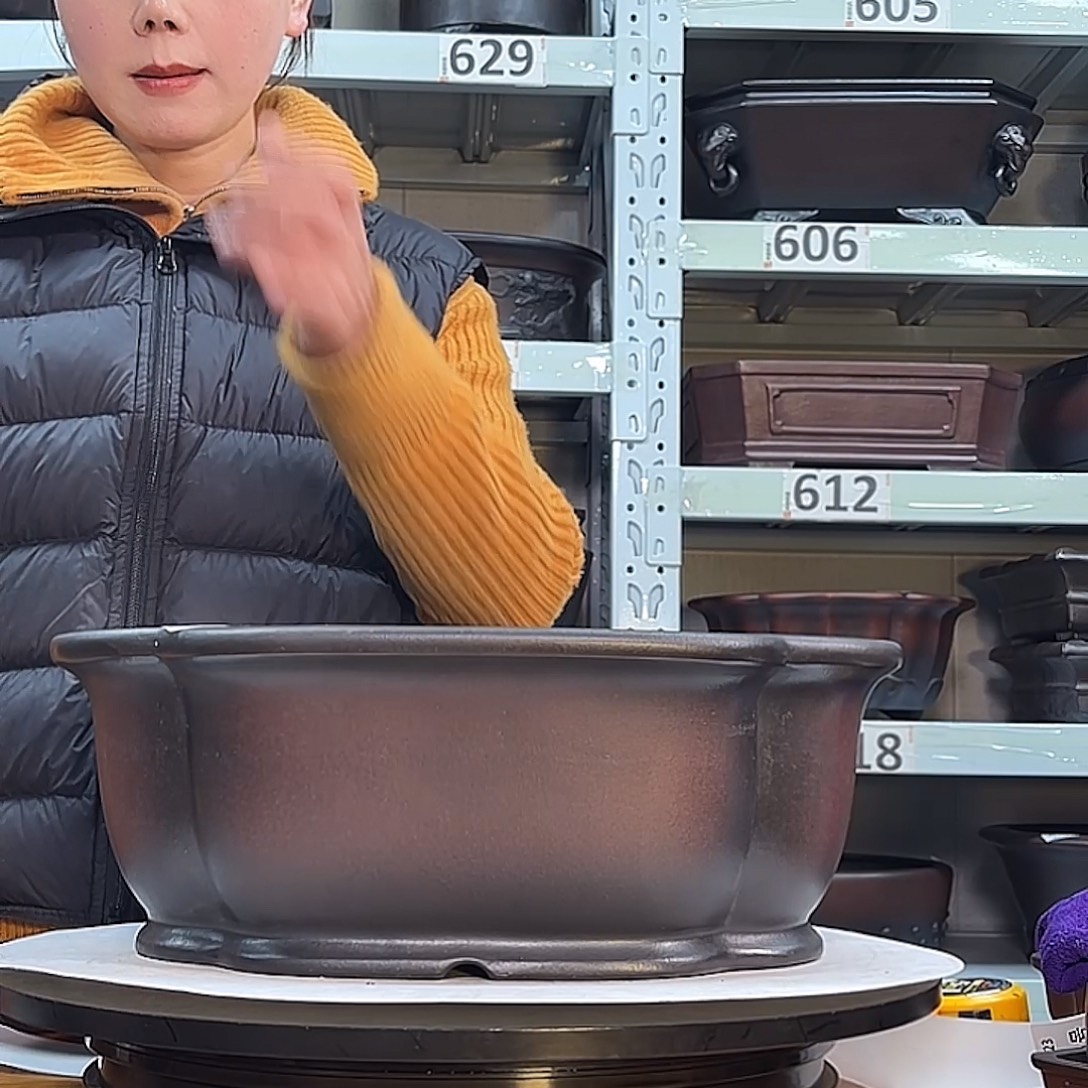 耒***团紫砂花盆宜兴紫砂45号