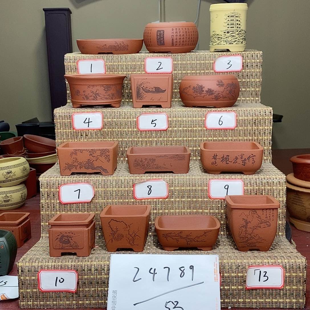 紫砂花盆世**诚在等车呢