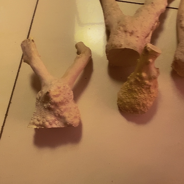 半***半黄杨木等多种木材