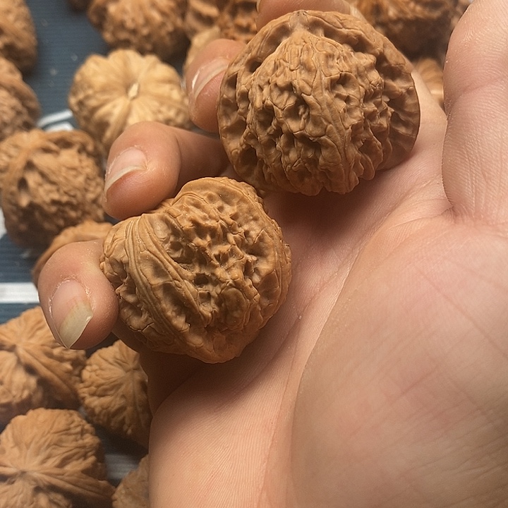 差***了吊坠文玩核桃白狮子