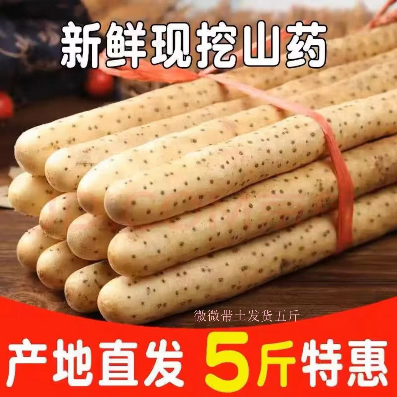 【秀桂专属】铁棍山药软糯香甜产地直发宝宝辅食带土30-50
