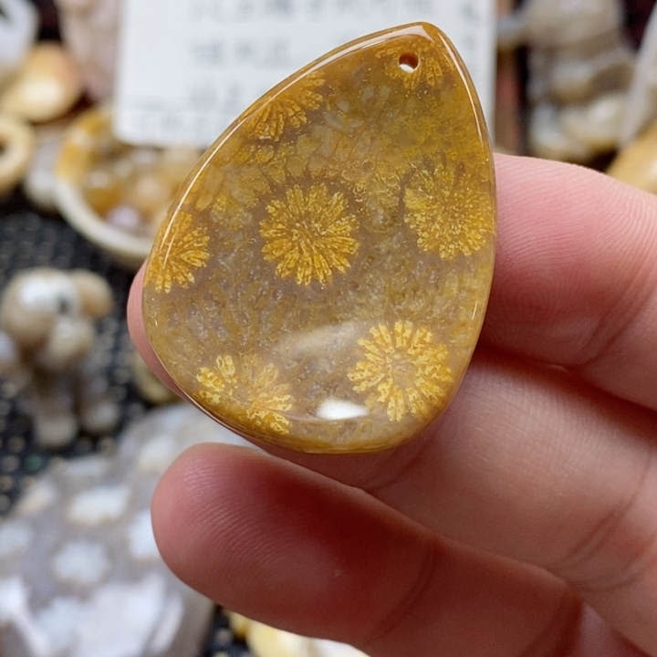 硅化珊瑚（珊瑚玉）颈饰未镶嵌