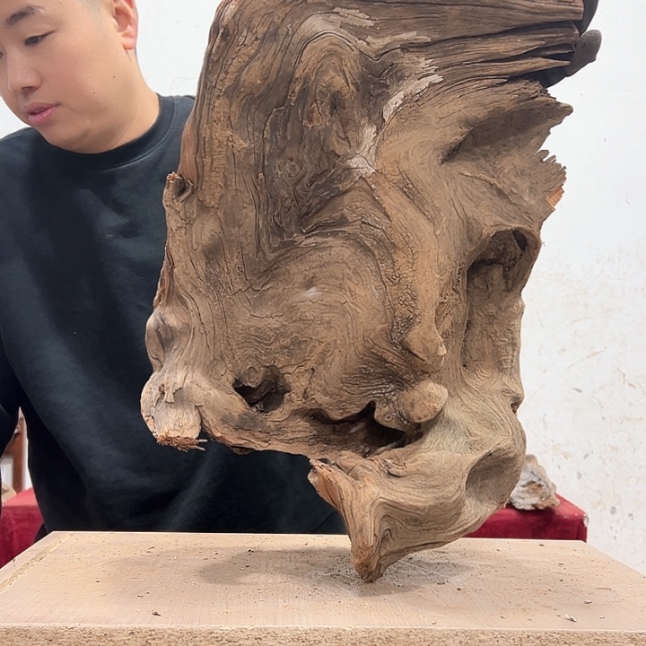 柏木木*轩我们都是好孩子呀我也