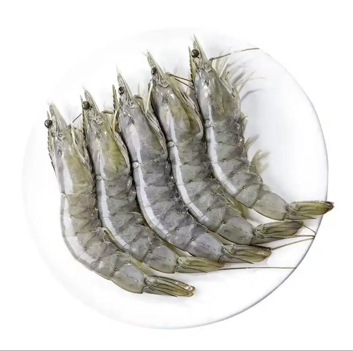 渔船海捕 海水大虾 大号海虾1斤14-18只速冻锁鲜新鲜味美 整箱5斤