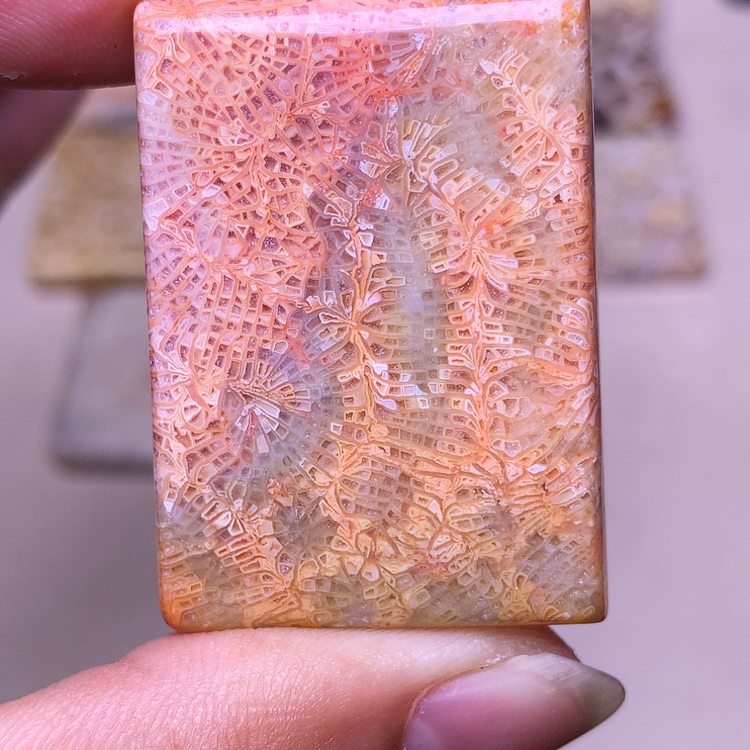 井***墓硅化玉合金珊瑚玉