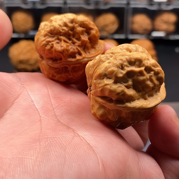 文玩核桃把件至尊妖蝉