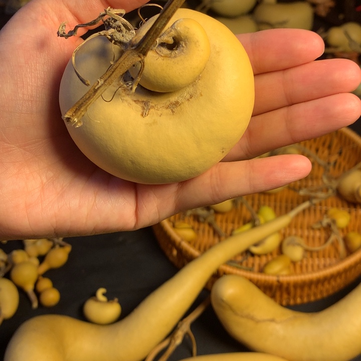 肥***.银S925葫芦葫芦葫芦