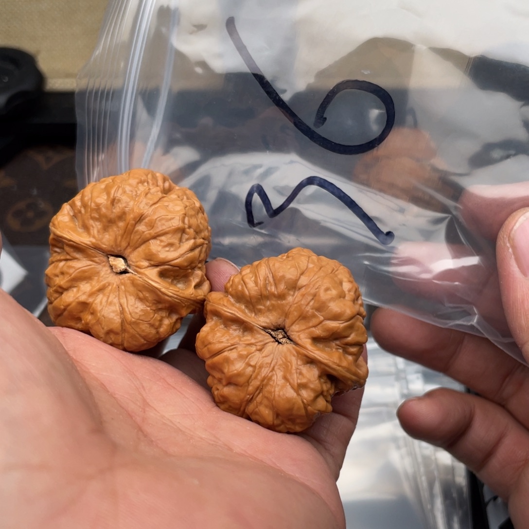 核桃把件W479469496684386368