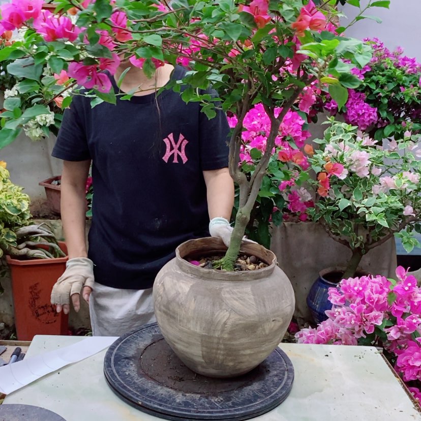 【闪购商品】完全开放