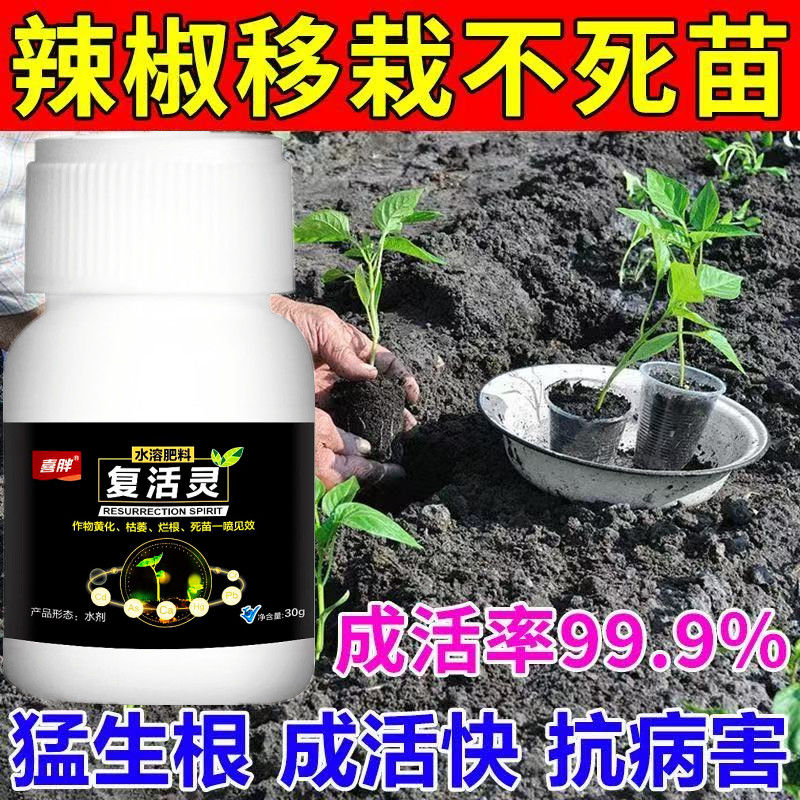 辣椒死苗烂根复活灵辣椒黄叶卷叶烂尖落花落果根腐急救辣椒专用肥
