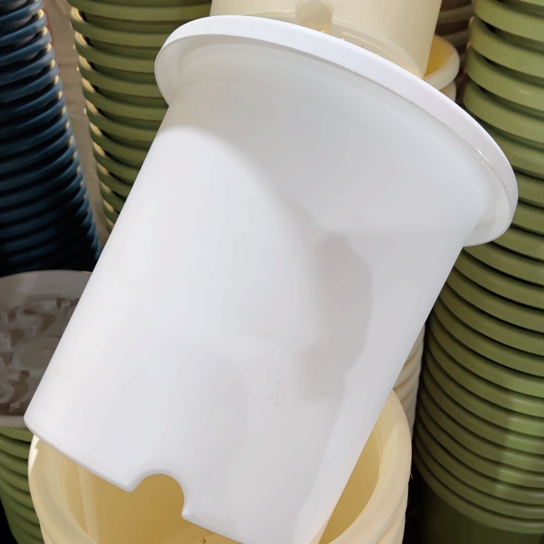 树脂四季7#无拖纯白7个