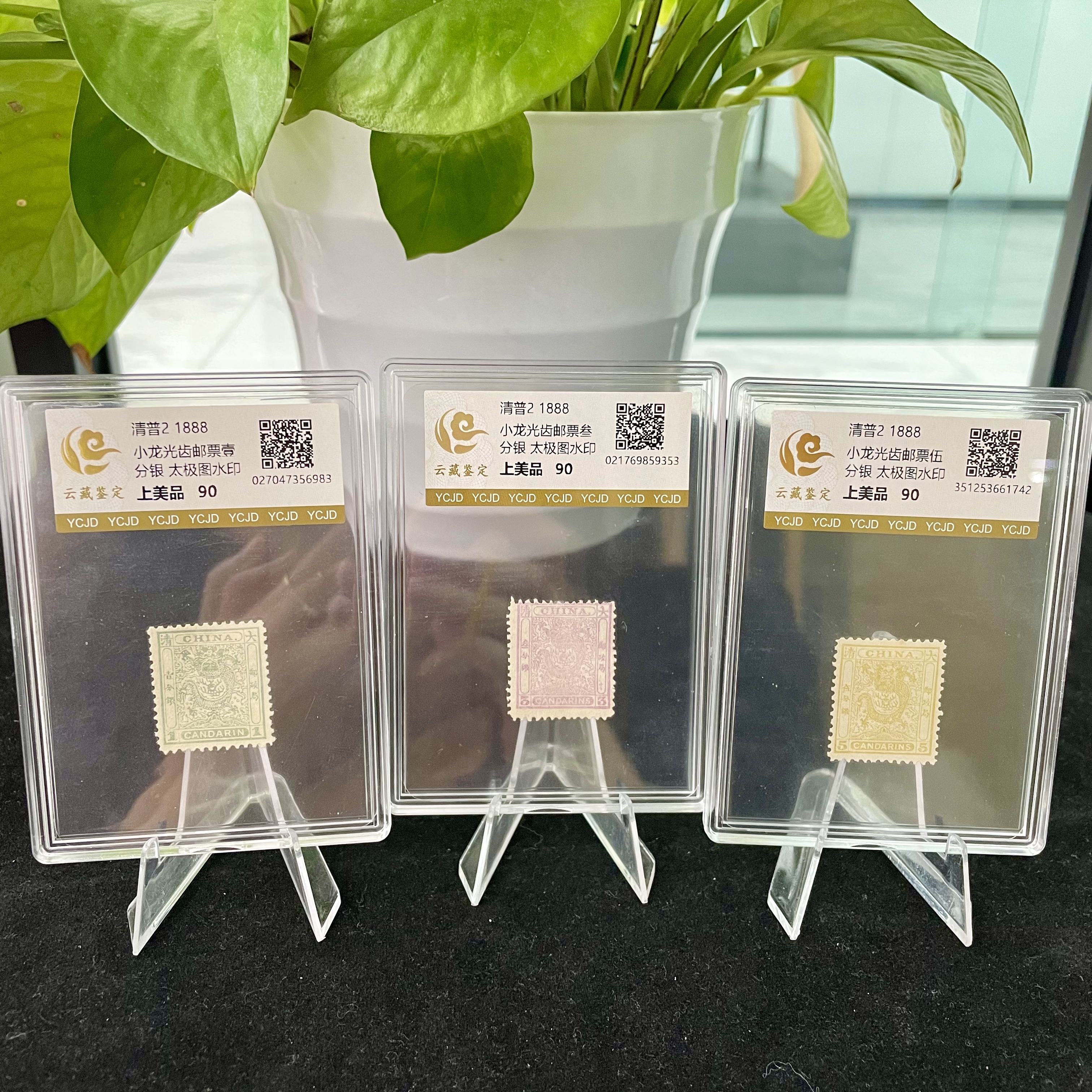 清普2 小龙 光齿太极图水印 盒装邮票