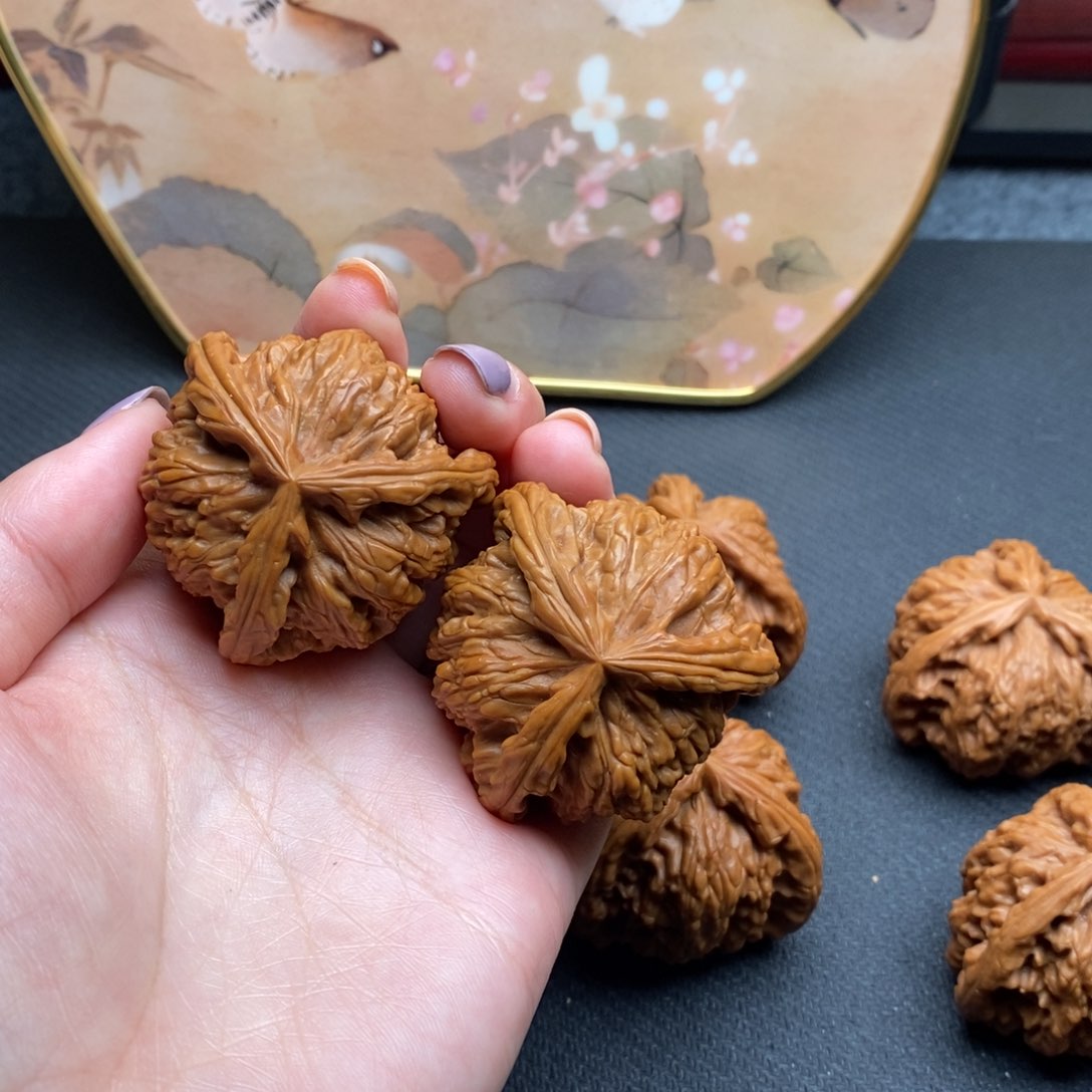 淏*白狮子11111111111