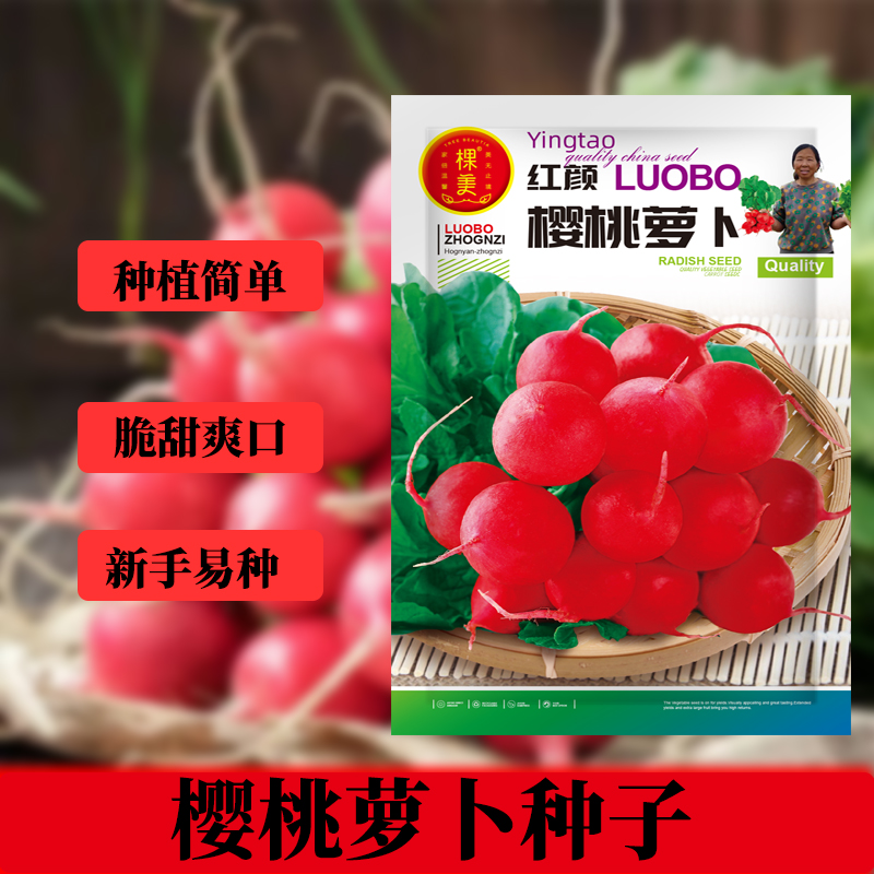 水果樱桃萝卜种子红白小萝卜耐热寒阳台盆栽蔬菜大全