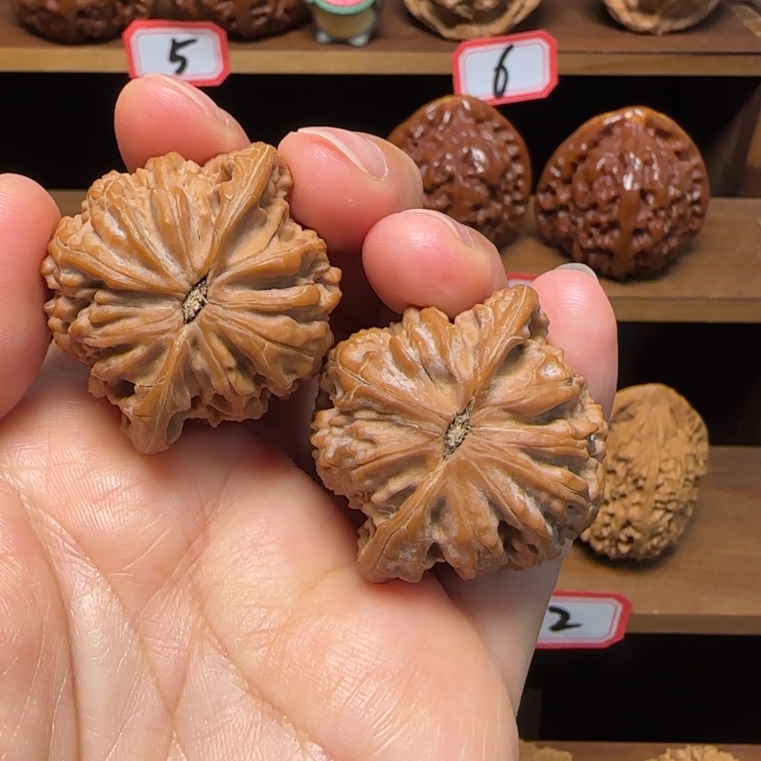 你***想把件文玩核桃磨盘狮子头