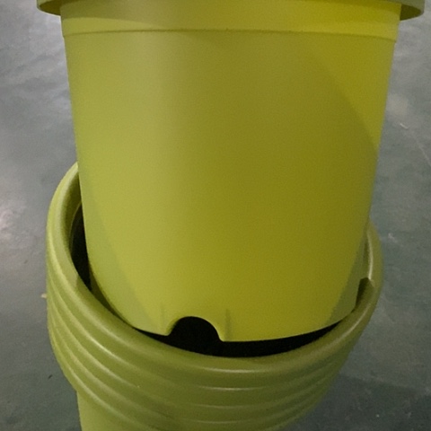 树脂四季5号果绿无托6个