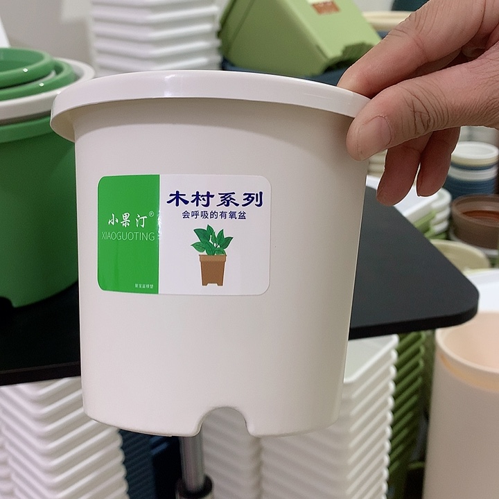 小果汀15口白10个无托