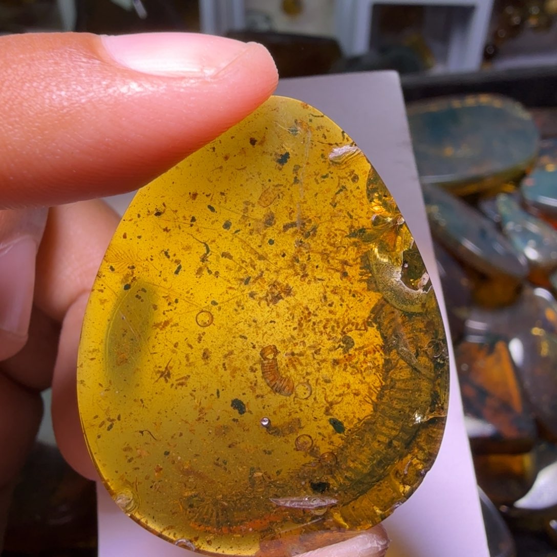 随***侧琥珀未镶嵌裸石，，，