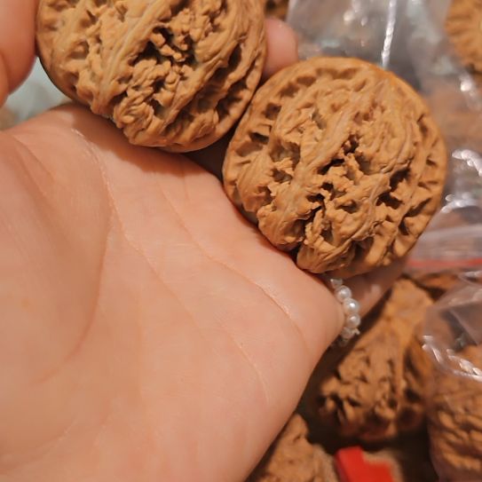 文玩核桃吊坠46粗筋