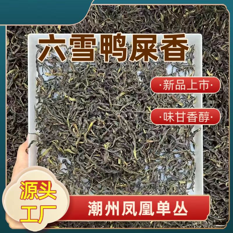 六雪鸭屎香茶凤凰单丛茶兰花香