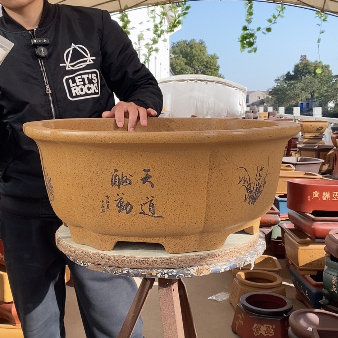 紫砂花盆紫砂花盆