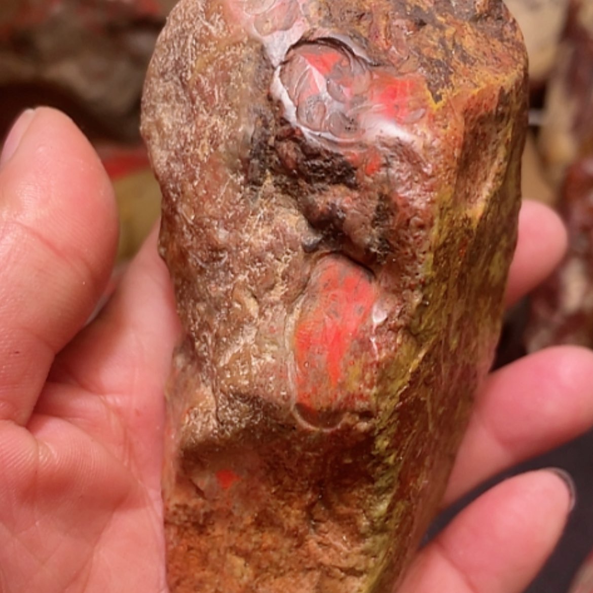 【闪购商品】昌化石昌化田黄血