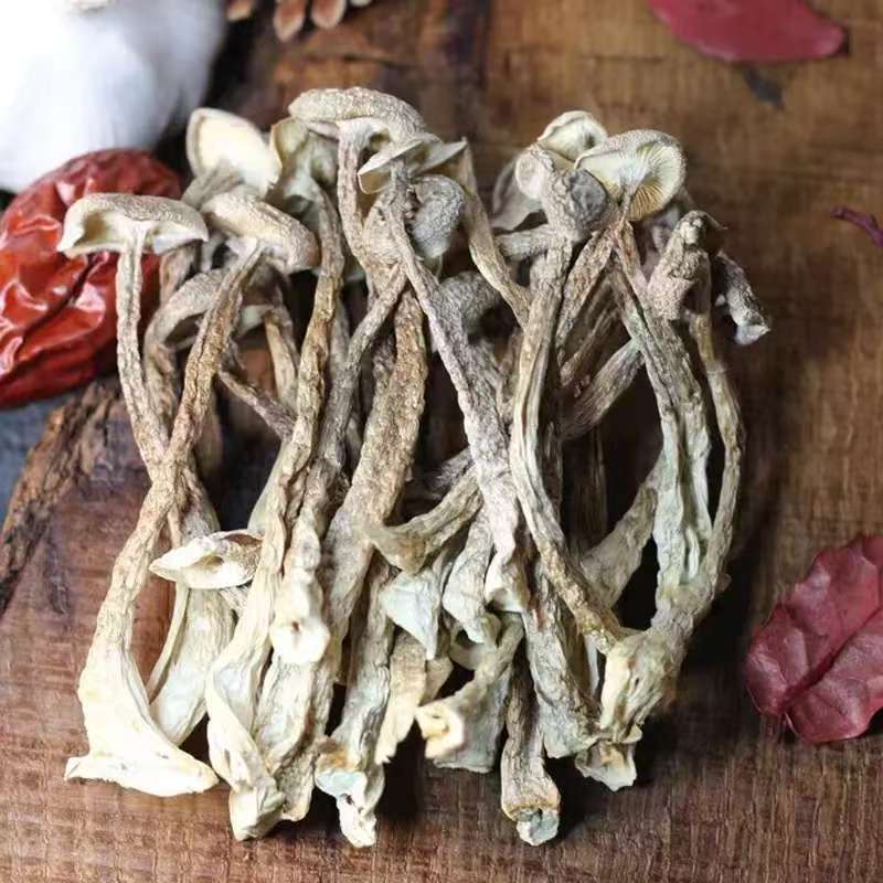 精选农家特产500g高山鹿茸菇批发新鲜菌菌菇菌类脆脆菇