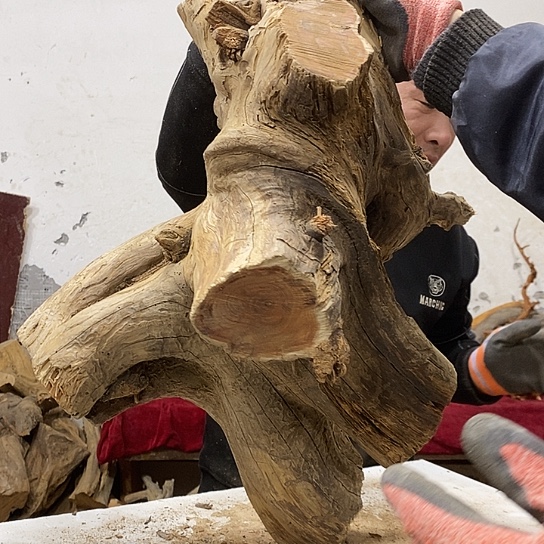 积***园柏木我们都是好孩子