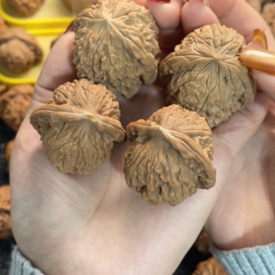 吊坠文玩核桃15暴雪加大红袍