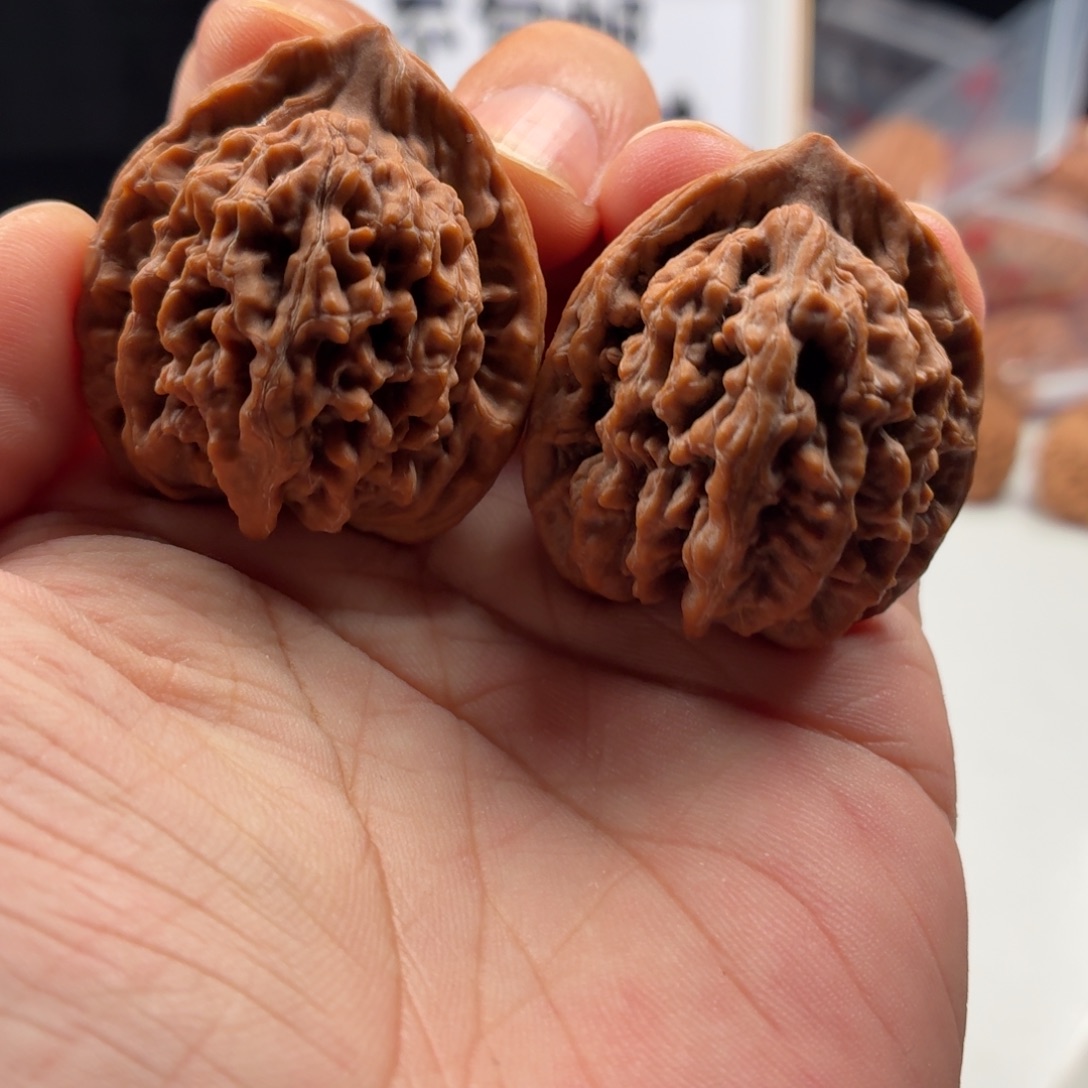 文玩核桃把件梅茗