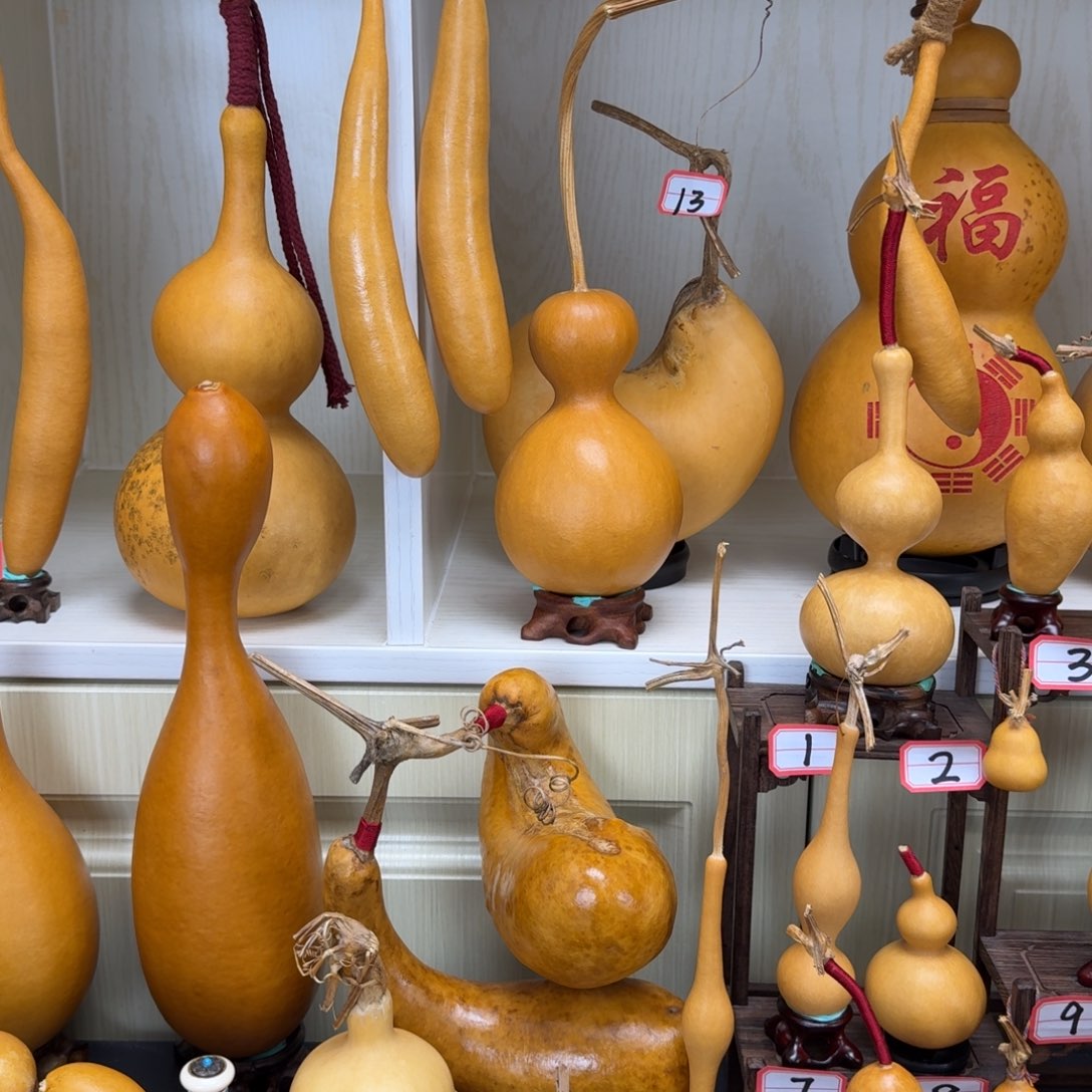 张*妹16666666688888888888
