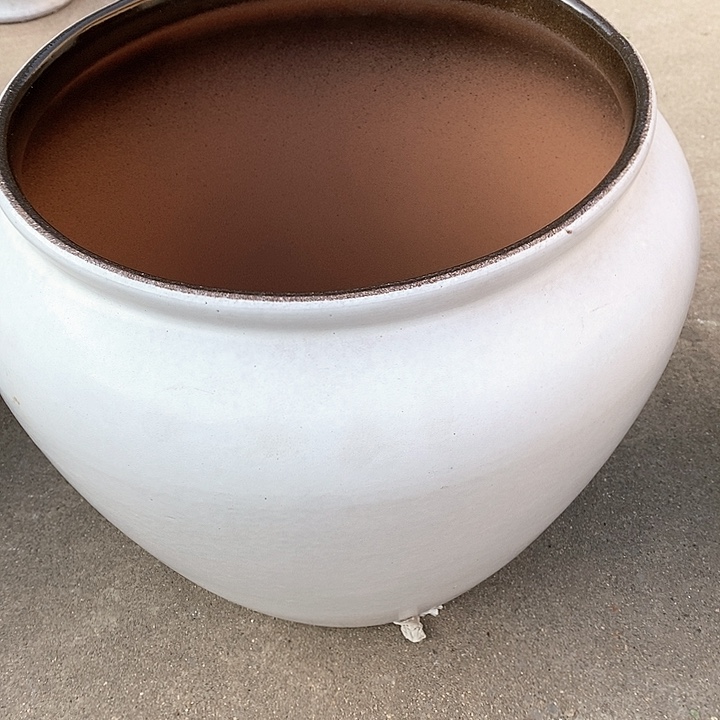 红陶31/31x f g h h h j j j