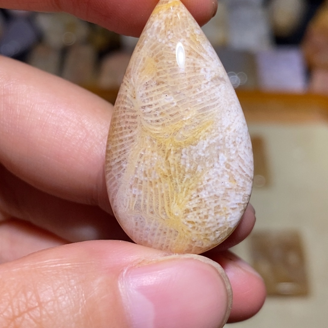 【闪购商品】硅化玉珊瑚玉未镶嵌