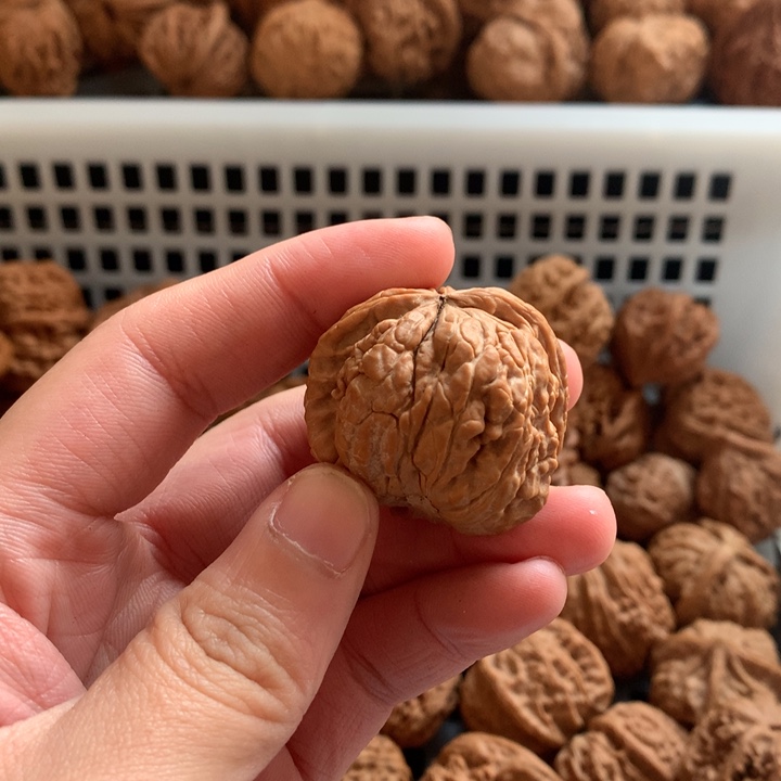 清***人文玩核桃把件四座楼