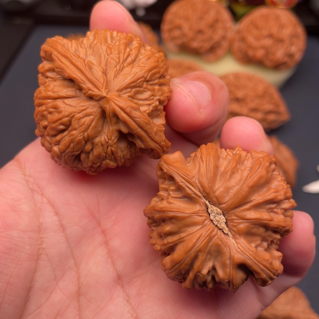 文玩核桃把件全品无修44红皮白狮子