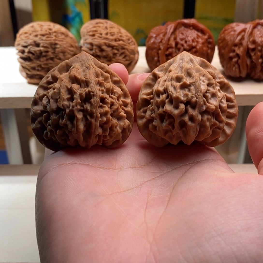 ****腿核桃龙门涧42小小修