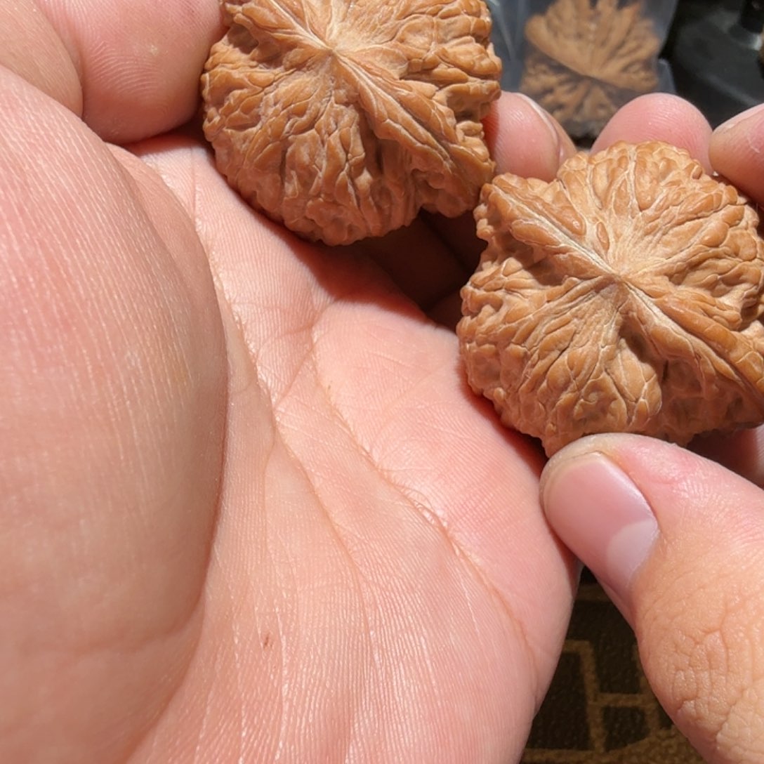 文玩核桃把件陈*菲磨盘