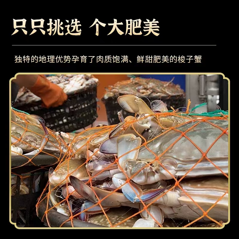 【保鲜不保活】威海野生海捕梭子蟹 三点红母蟹 3-4两/只 斤数可选 