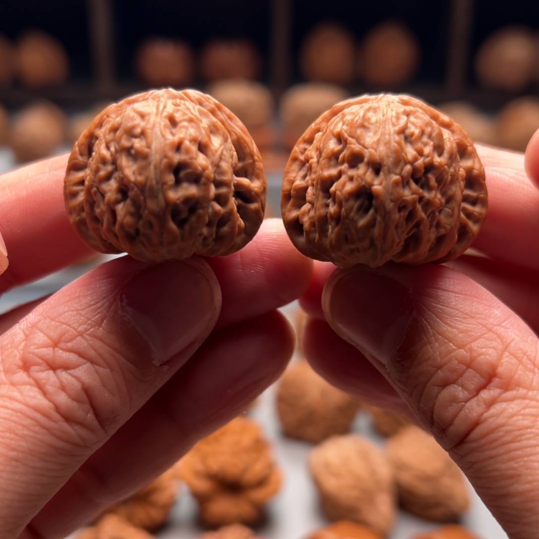 文玩核桃把件32白狮子手捻