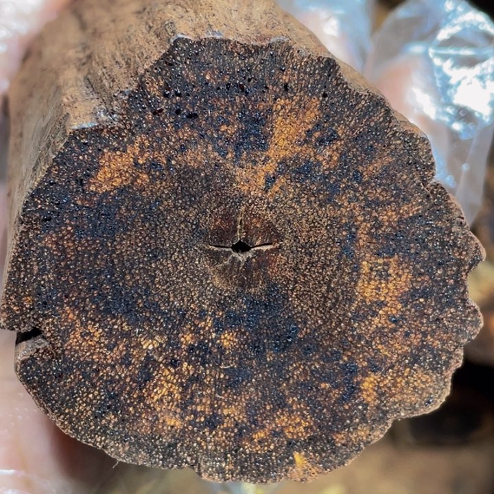 降真香手串/手链定制