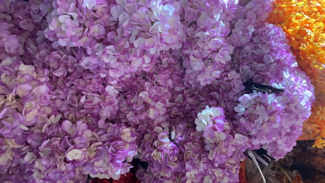 仿真花对应编码下单500号到599