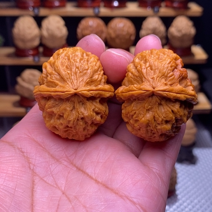木质类云铁凤冠121号